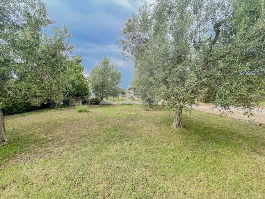 Villa In Campagna Tra Natura E Verde 蒙塔尔托迪卡斯特罗 外观 照片